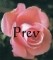 Previous